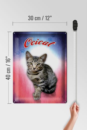 Plaque en tôle chat 40x30cm décoration murale Ocicat 4