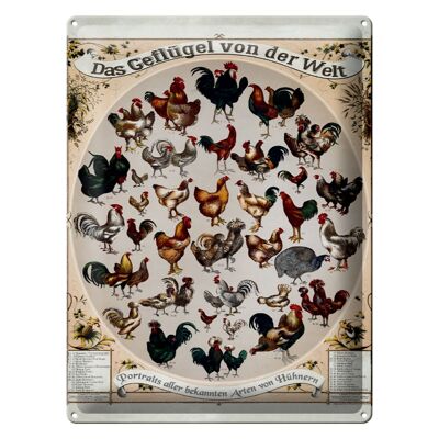 Metal sign poultry type 30x40cm the poultry of the world
