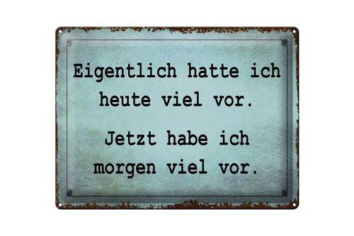 Blechschild Spruch 40x30cm eigentlich hatte ich viel vor