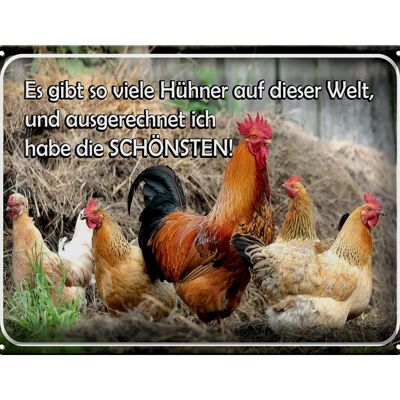 Blechschild Spruch 40x30cm es gibt so viele Hühner und