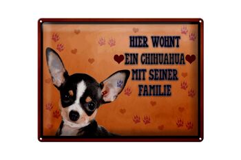 Plaque en étain indiquant un chien de 40x30 cm, un chihuahua vit ici 1