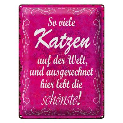 Blechschild Spruch 30x40cm so viele Katzen auf der Welt