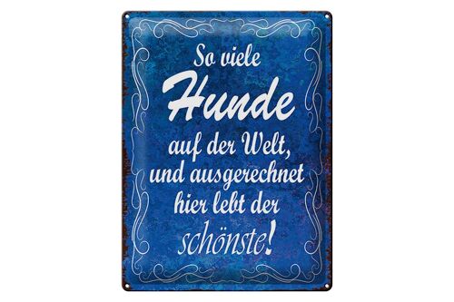 Blechschild Spruch 30x40cm so vielen Hunde auf der Welt