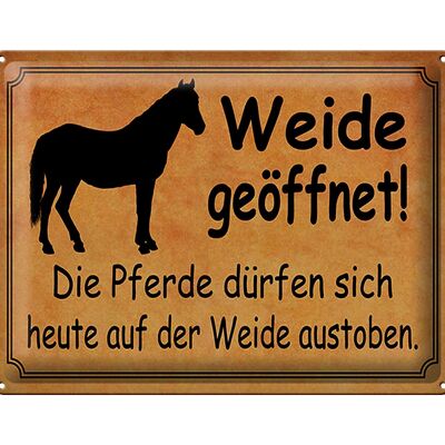 Blechschild Spruch 40x30cm Weide geöffnet Pferde dürfen