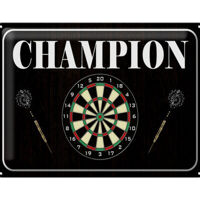Blechschild Spruch 40x30cm Darts Champion