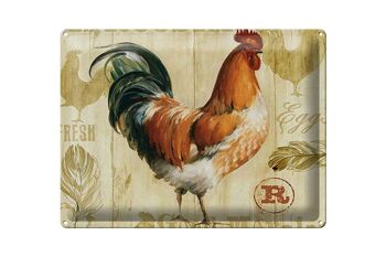 Panneau en étain disant 40x30cm poulet poules œufs frais œufs 1