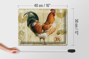 Panneau en étain disant 40x30cm poulet poules œufs frais œufs 4