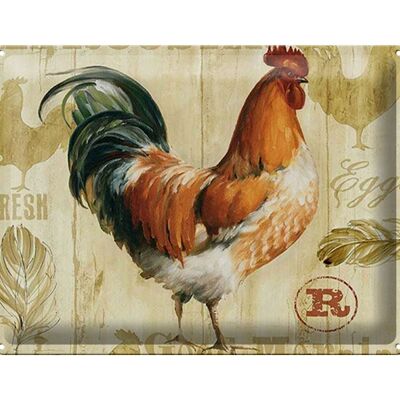 Cartel de chapa que dice 40x30cm pollo gallinas huevos huevos frescos