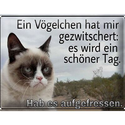 Blechschild Spruch 40x30cm Katze Vögelschen gezwitschert