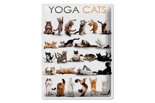 Blechschild Tiere 30x40cm Yoga Cats Katzen Geschenk