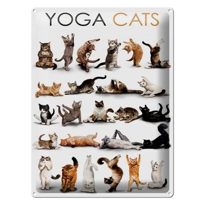 Targa in metallo Animali 30x40 cm Yoga Gatti Regalo per gatti