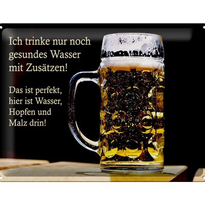 Targa in metallo 40x30 cm con scritta "Bevi solo birra sana e acqua".