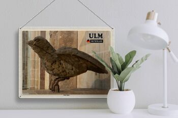Plaque en tôle villes Ulm Ulmer Sparrow sculpture 40x30cm 3