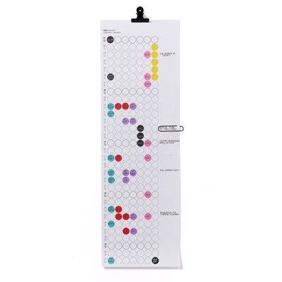 Monthly planner 2025 with adhesive dots - 23x72 cm