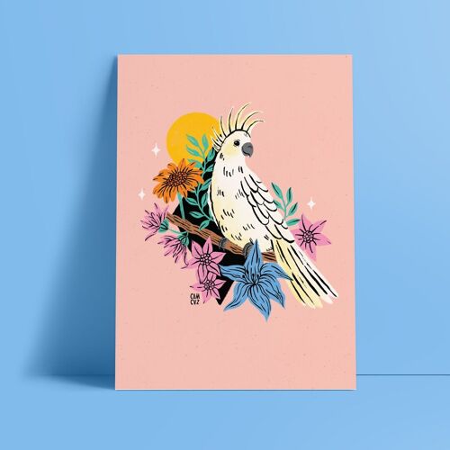 Affiche "Cacatoes" | illustration colorée, oiseau exotique, fleurs, lys