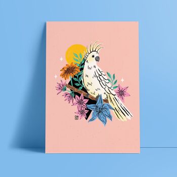 Affiche "Cacatoes" | illustration colorée, oiseau exotique, fleurs, lys 1