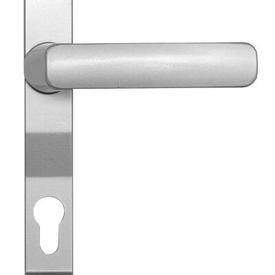 HANDLE 4455 WITH NARROW SILVER PLATE