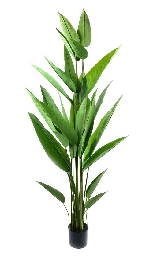 JUNGLE Artificial flower in pot h:190cm