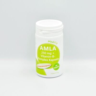 Amla 250 mg + complejo vitamínico B