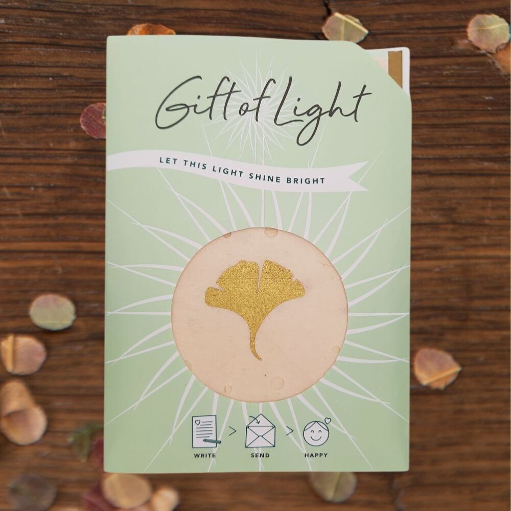 Dono di luce | Ginkgo