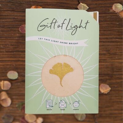 Geschenk des Lichts | Ginkgo