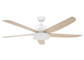 Ventilateur de plafond Louisville avec éclairage LED et télécommande - Lucci air 1