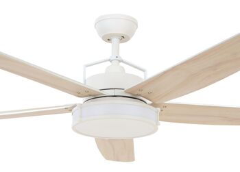 Ventilateur de plafond Louisville avec éclairage LED et télécommande - Lucci air 2