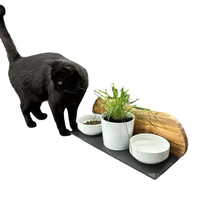 Station d'alimentation MOUNTAIN 2x bols en porcelaine de 0,4 litre plus pot pour herbe à chat en bois d'olivier