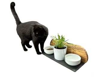 Station d'alimentation MOUNTAIN 2x bols en porcelaine de 0,4 litre plus pot pour herbe à chat en bois d'olivier