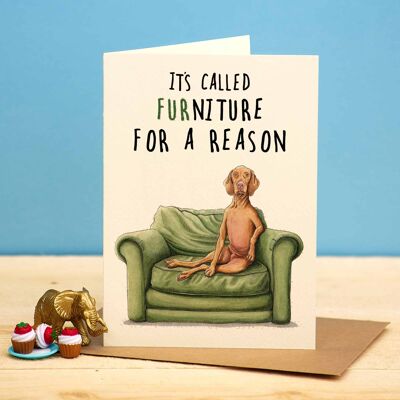 Furniture Dog Card - Funny Dog Card