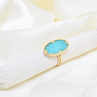 Amazonite Ring in Stainless Steel - BG310109OR-BL