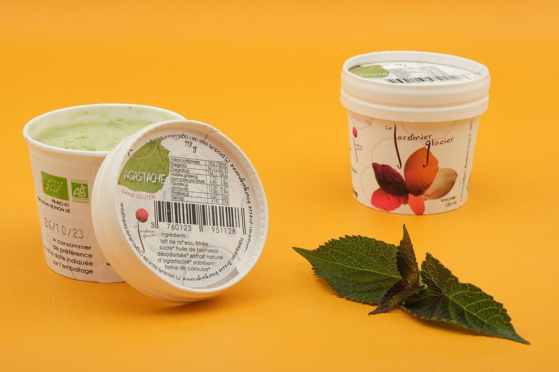 Vegetable ice cream based on rice syrup - AGASTACHE*