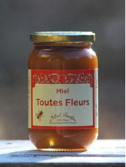 Miel Toutes fleurs