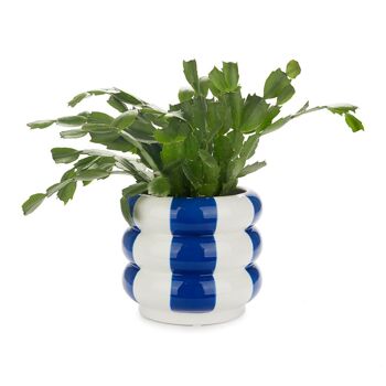 Pot de fleurs - Plant pot - Flowerpot - Blumentopf - Flotteurs, bleu,14.5 cm 2