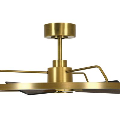 Cessna ceiling fan with integrated LED lighting and remote control