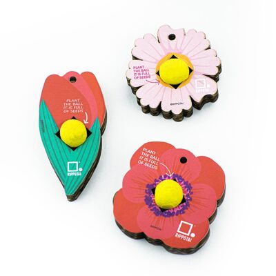 The bouquet of flowers to sow! Ecological and sustainable gift idea