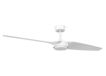 Ventilateur de plafond Condor à 2 pales et télécommande - Lucci air 1