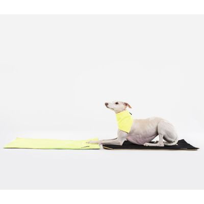 Cooling Dog Cooling Flo Yellow Cooling Mat M