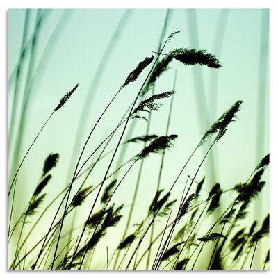 Cuadro de cristal acrílico - Blade Of Grass