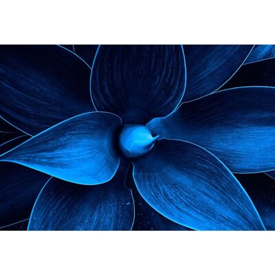 Tableau en verre acrylique - Plante bleue