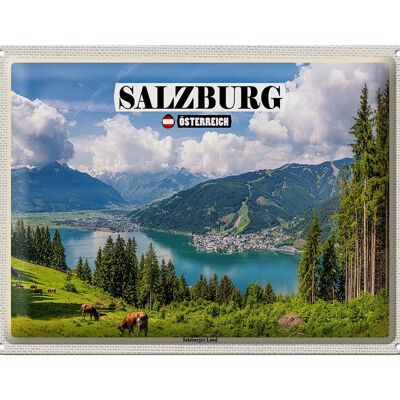 Cartel de chapa Travel Austria Salzburger Land Nature 40x30cm