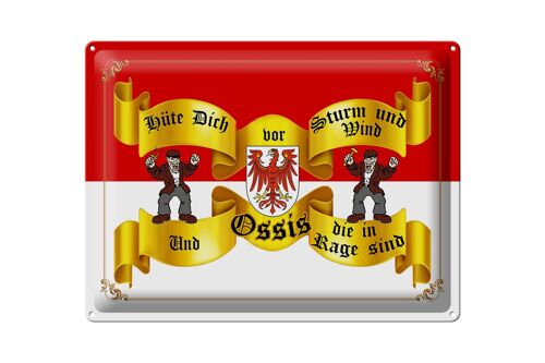 Blechschild Spruch 40x30cm hüte dich vor Sturm Wind Ossis Brandenburg