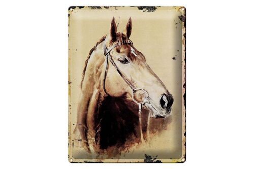 Blechschild Retro 30x40cm Portrait Pferd Kopf von Links