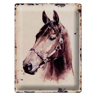 Blechschild Retro 30x40cm Portrait Pferd Kopf von Rechts