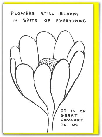 Carte David Shrigley drôle - Les fleurs fleurissent en pensant à vous 1