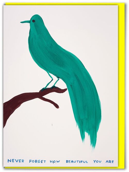 Funny David Shrigley - Never Forget Beautiful Greetings Card