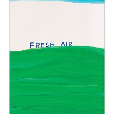 Cartolina artistica A6 di David Shrigley - Aria fresca