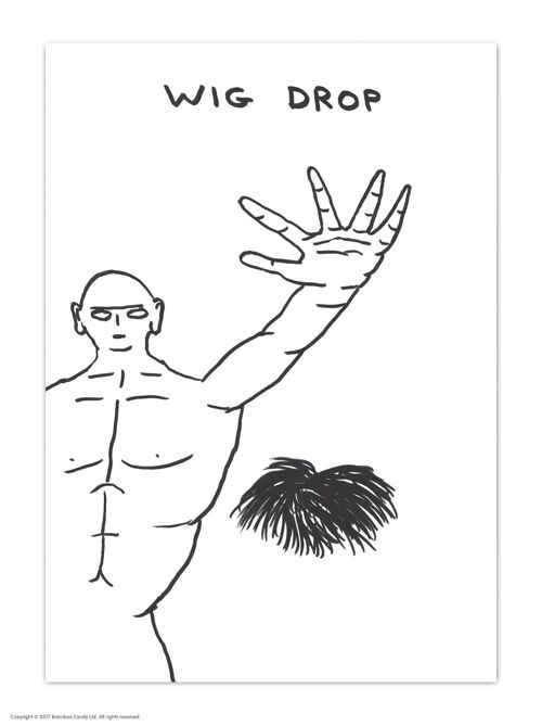 A6 Art Postcard By David Shrigley - Wig Drop