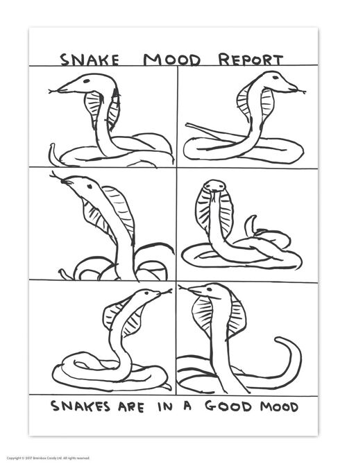 A6 Art Postcard By David Shrigley - Snake Mood Report