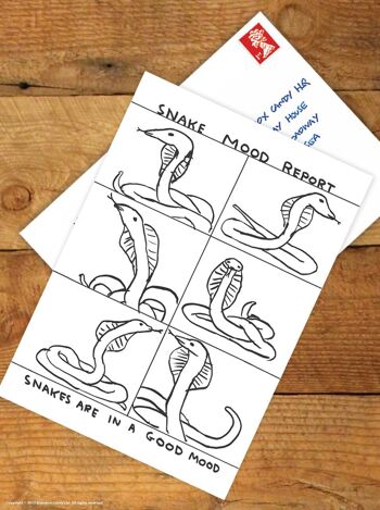 Carte postale d’art A6 par David Shrigley - Snake Mood Report 2